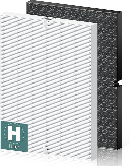 116130 Replacement Filter H for Winix 5500-2 AM80 Plasmawave Air Purifier, High Efficiency Filter and Activated Carbon Filter Combo Pack, 1 Set