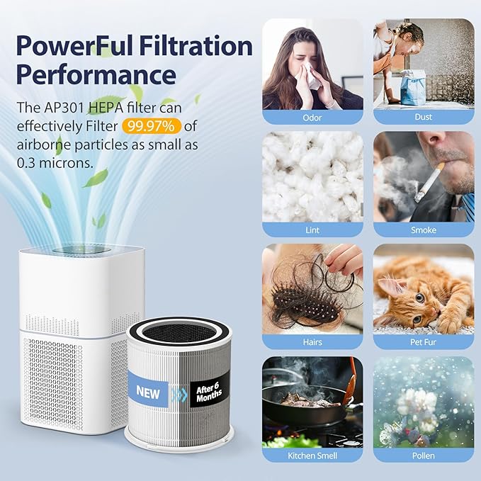 2 Pack AP301 Replacement Filter, Only Compatible with Dayette AP301 AP302 Air Purifier, Efficient Air Filter, NOT FOR AP303 AP304 AP401 AP402 AP403 AP404 Air Purifiers