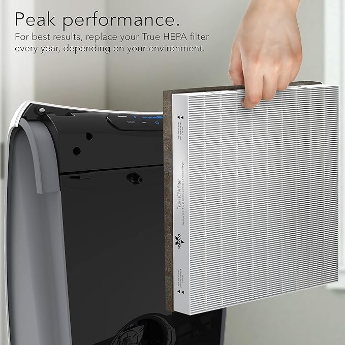 Vornado MD1-0022 Air Purifier Filter, 1 Count, White (Pack of 6)