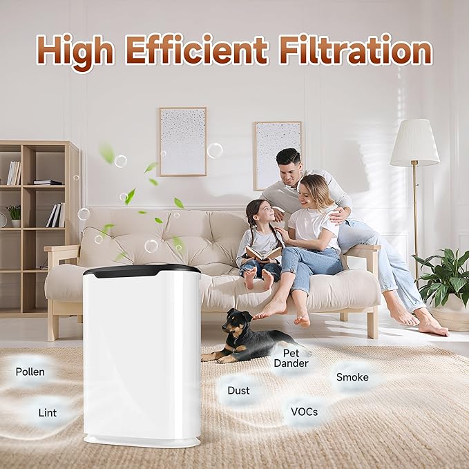 2 Packs 8L HEPA Carbon Replacement Filters Set Compatible with Okaysou Airmax 8L Air Purifi-er, 2 pcs carbon pre-filter+2pcs HEPA Filters+ 2pcs Activated Carbon Filters