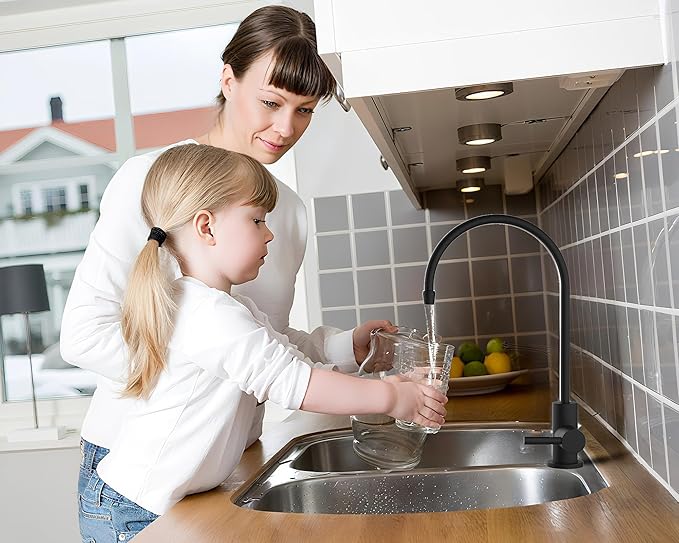 Havin Black Bar Sink Faucet, RO Water Filter Faucet,Drinking Water Faucet fits Most Water Filtration System, Kitchen Reverse Osmosis Faucet, Stainless Steel Filter Tap, Beverage Faucet for Bar Sink