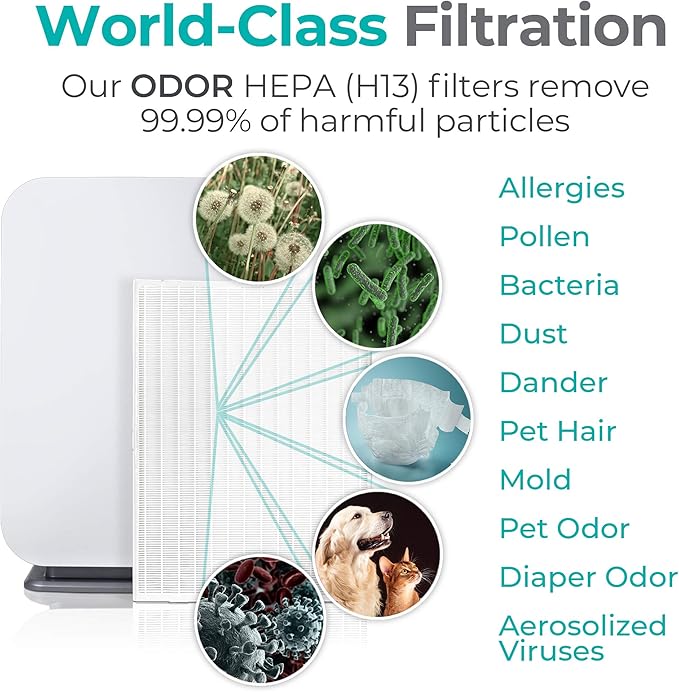 Alen Air Filter B7-Odor Replacement True HEPA Filter for BreatheSmart 75i Air Purifier - Captures Allergens & Mold + Pet Dander & Odors (1 Filter)