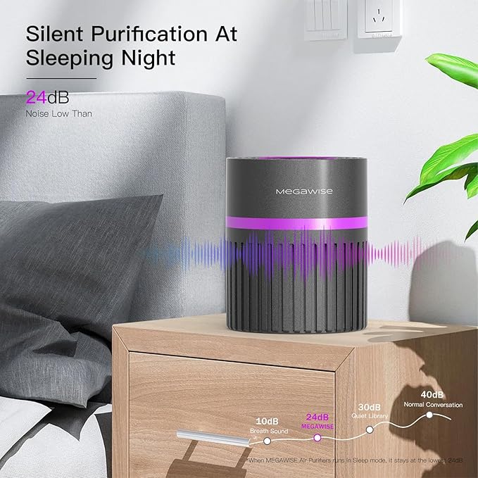MEGAWISE Portable Air Purifier, H13 True HEPA 3-in-1 Filter, 99.97% 0.3 Micron Filtration, Dust Smoke Pet Dander, Ozone Free, Ultra-Quiet 24dB, Small Tabletop Air Cleaner for Bedroom Home Office