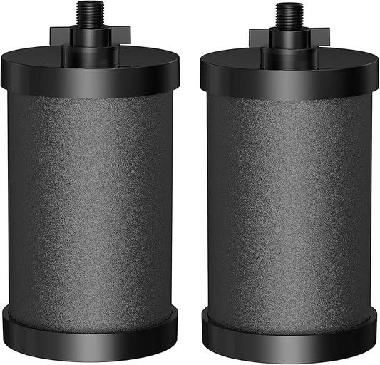 2387 Pro Black Filter, 2-Pack NSF/ANSI 42 Certified Replacement for Alexapure 2387 Filter, Compatible with Alexapure Water Filtration System 5000 Gallon