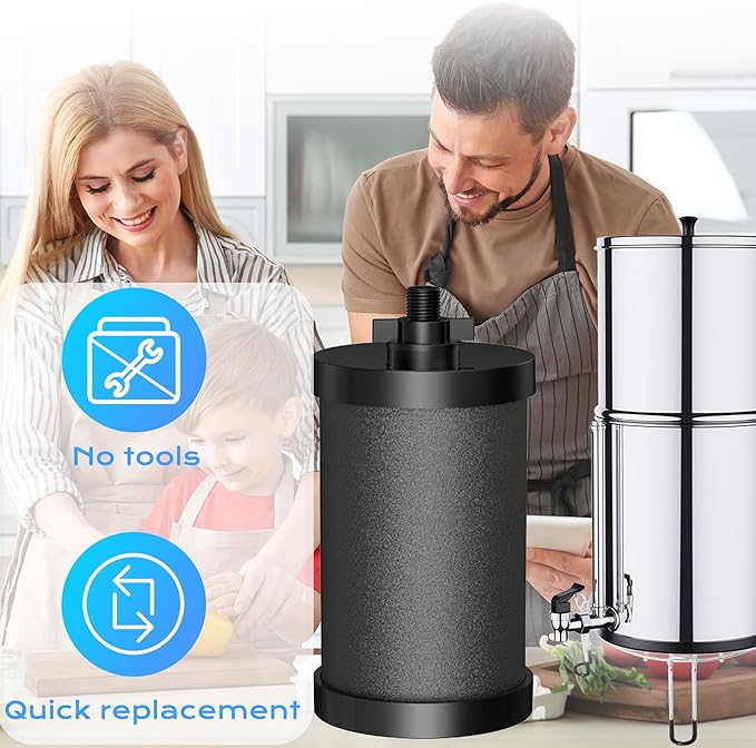 2387 Pro Black Filter, 2-Pack NSF/ANSI 42 Certified Replacement for Alexapure 2387 Filter, Compatible with Alexapure Water Filtration System 5000 Gallon