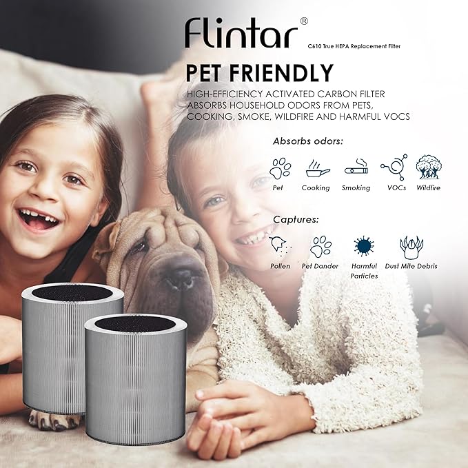 C610 Replacement Filter Z, Made in Taiwan, Compatible with Winix C610 Air Purifier, 1712-0121-00, 3-in-1 H13 True HEPA with Activated Carbon and Pre-Filter, 2-Pack