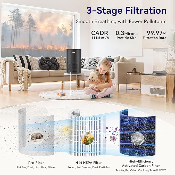 Tailulu Official AP050 AP052 Air Purifier Replacement Filter, 3-in-1 Air Purifier Filter, True H13 HEPA Filter, 2Pack