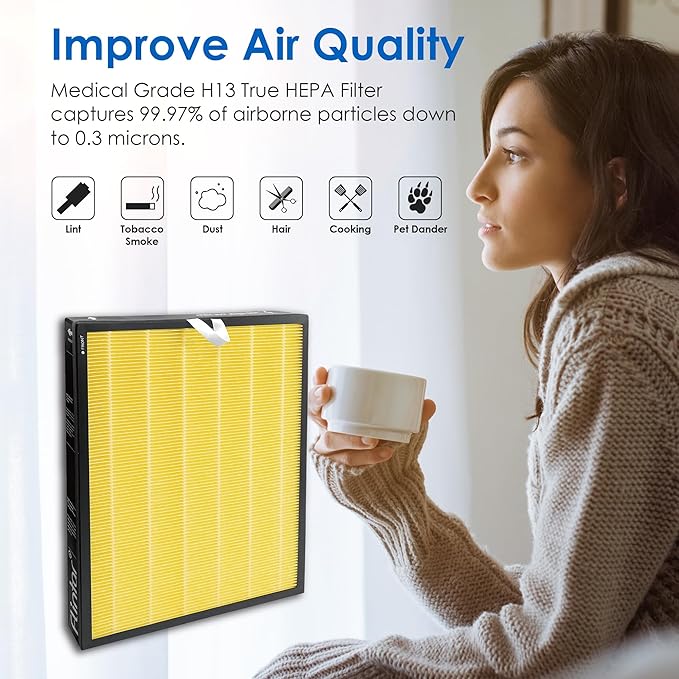 Vital 100S Pet Allergy Replacement Filter, Compatible with LEVOIT Vital 100S Air Purifier, H13 True HEPA + Activated Carbon Replacement filter, Part # Vital 100S-RF-PA, 2-Pack