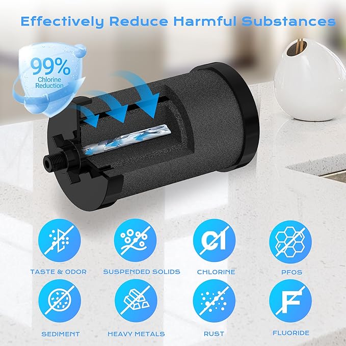 2387 Pro Black Filter, 2-Pack NSF/ANSI 42 Certified Replacement for Alexapure 2387 Filter, Compatible with Alexapure Water Filtration System 5000 Gallon