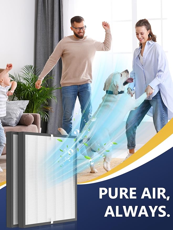 3000 Replacement Filter Compatible with Air Doctor 3000 Air Purifier – 2 Premium Efficiency Filters Compare to Part# ADF3001 (Not Compatible with 3500)