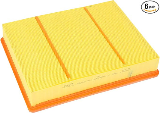 ACDelco GM Original Equipment A3218C (23349854) Air Filter (Pack of 6)