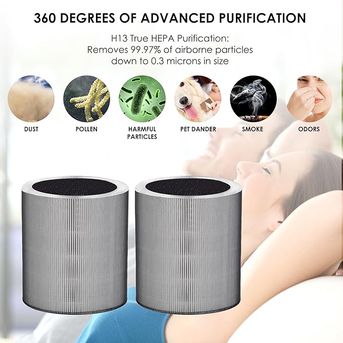 C610 Replacement Filter Z, Made in Taiwan, Compatible with Winix C610 Air Purifier, 1712-0121-00, 3-in-1 H13 True HEPA with Activated Carbon and Pre-Filter, 2-Pack