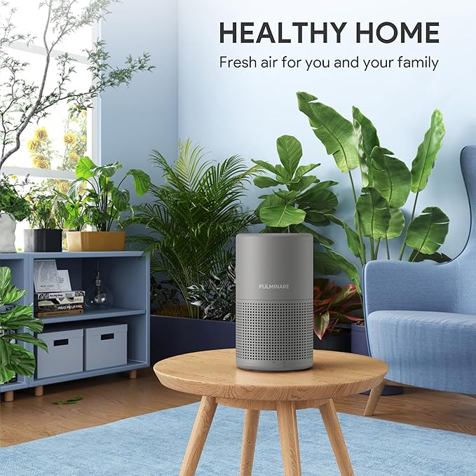 FULMINARE Air Purifiers for Bedroom H13 True HEPA Air Filter, Quiet Air Cleaner With Night Light, Portable Small Air Purifier for Home, Office, Living Room (Gray)