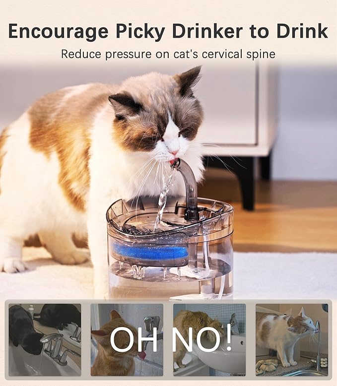HAPUP Cat Water Fountain Animal Water Dispenser 61OZ/1.8L Automatic Pet Drinking Fountain Clear Upgrade with 2 Filter Replacement 1 Adjustable Silent 1 Water Pump for Cats Kitty Indoor