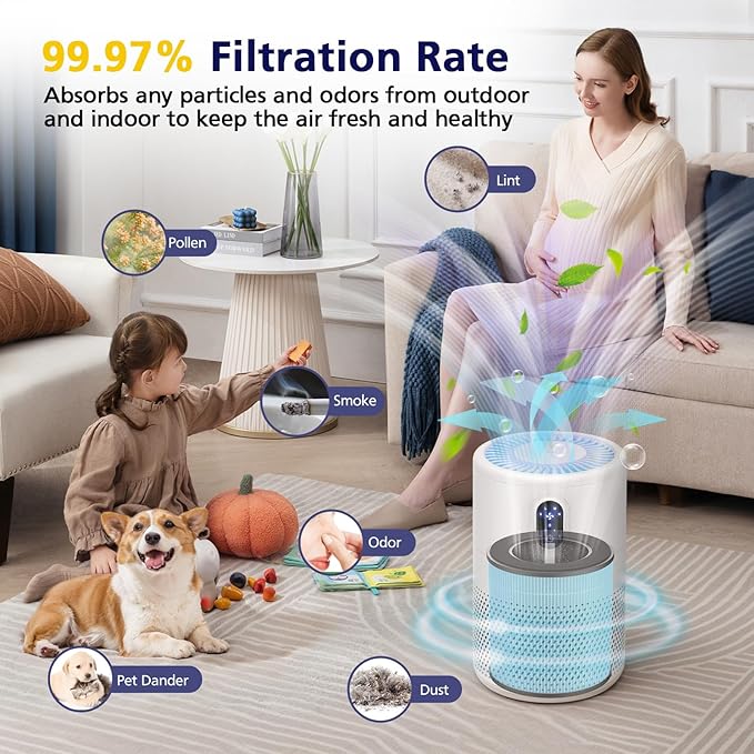 B-D02L/M05/B-D02U Filter Compatible with VEWIOR B-D02U, for MOOKA B-D02L& M05, for Tailulu D10 Air Purifi-er, 3-Stage Efficient Filte for B-D02L/M05/B-D02U, Blue, Smoke Filter