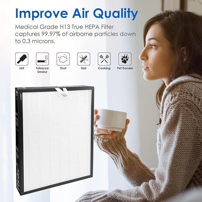 Vital 100S Replacement Filter, Compatible with LEVOIT Vital 100S Air Purifier, H13 Grade Filtration + Activated Carbon filter, Part # Vital 100S-RF, Original Filter, 2-Pack