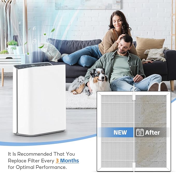 2-pack Europa Replacement Filter Compatible with Afloia Europa Air Purifier, True HEPA 3-in-1 Filter for Pet Hair Dander Odor Dust Smoke Pollen